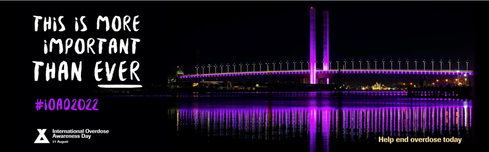 a bridge aglow in purple in the darkenss; This is more important than ever | #ioad2022 | International Overdose Awareness Day | Help end overdose today
