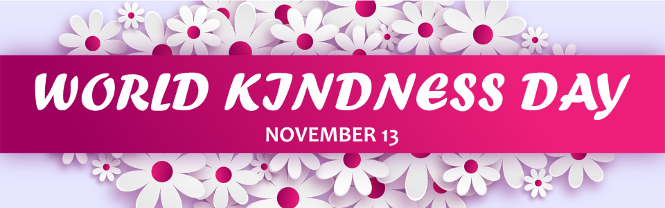 White daisy-like flowers with pink centers World Kindness Day November 13
